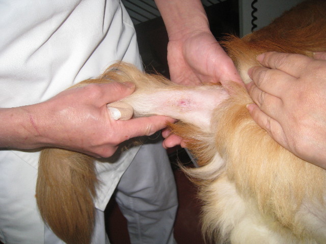 ファイル 716-2.jpg