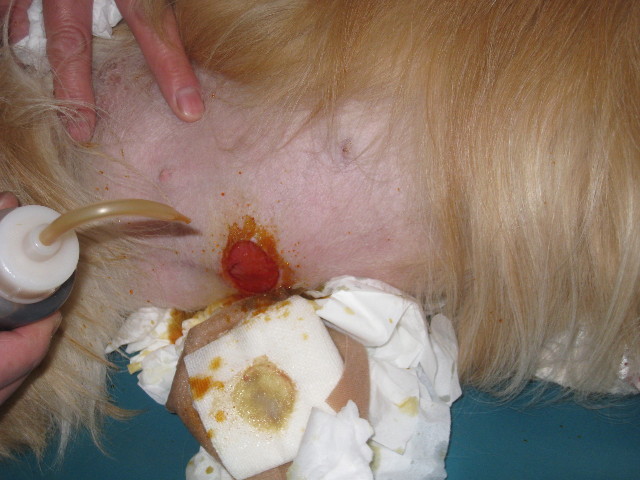 ファイル 716-3.jpg