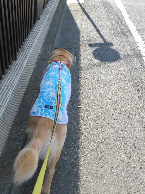 ファイル 7160-5.jpg