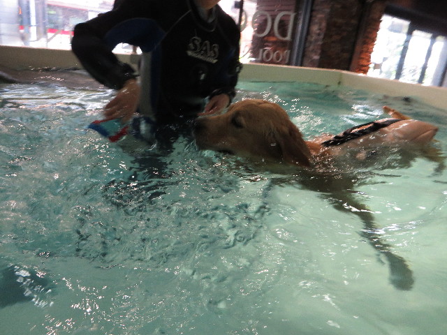 ファイル 7162-3.jpg