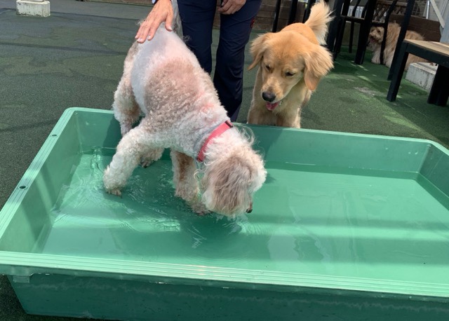 ファイル 7167-1.jpg