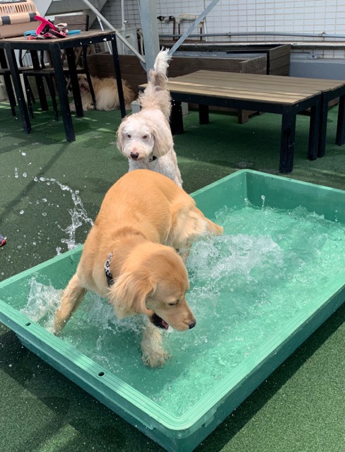 ファイル 7167-2.jpg