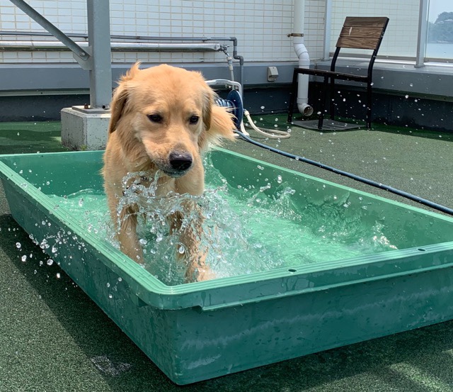 ファイル 7167-3.jpg