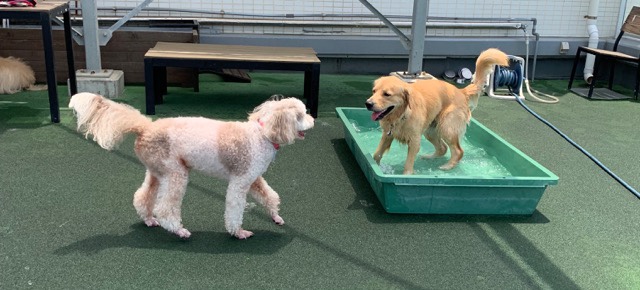 ファイル 7167-4.jpg