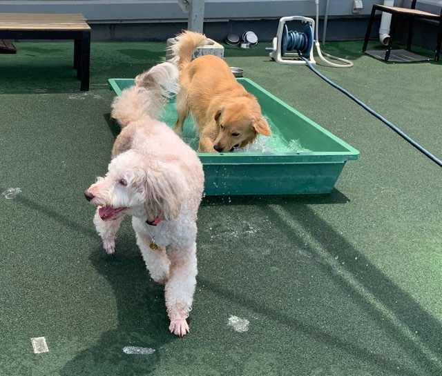 ファイル 7167-5.jpg