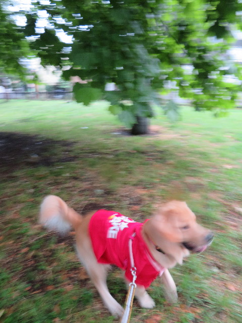 ファイル 7168-3.jpg