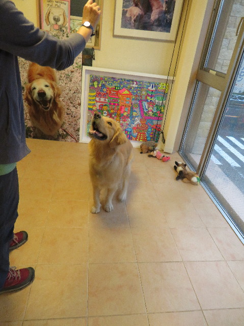 ファイル 7168-4.jpg