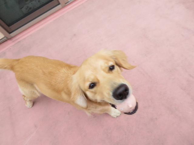 ファイル 7169-1.jpg