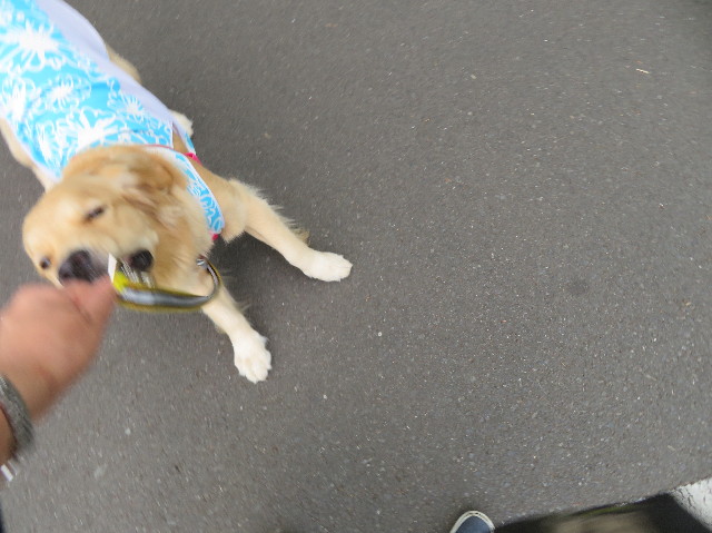 ファイル 7169-4.jpg