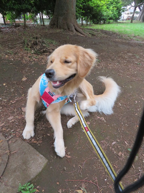 ファイル 7169-5.jpg