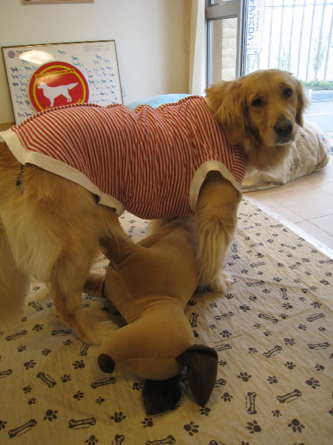 ファイル 717-3.jpg