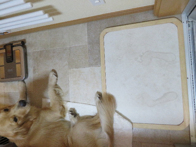 ファイル 7170-4.jpg