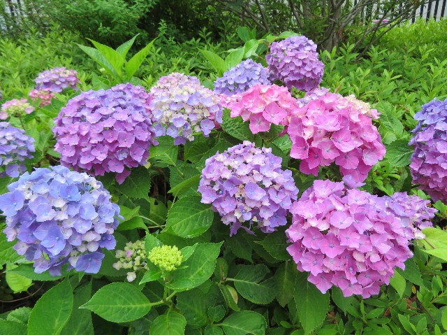 ファイル 7172-4.jpg