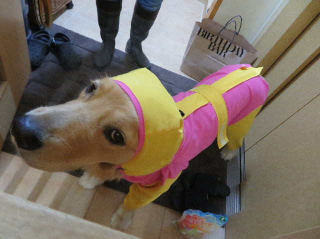 ファイル 7174-4.jpg