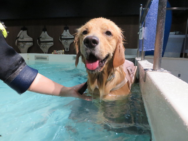 ファイル 7175-2.jpg