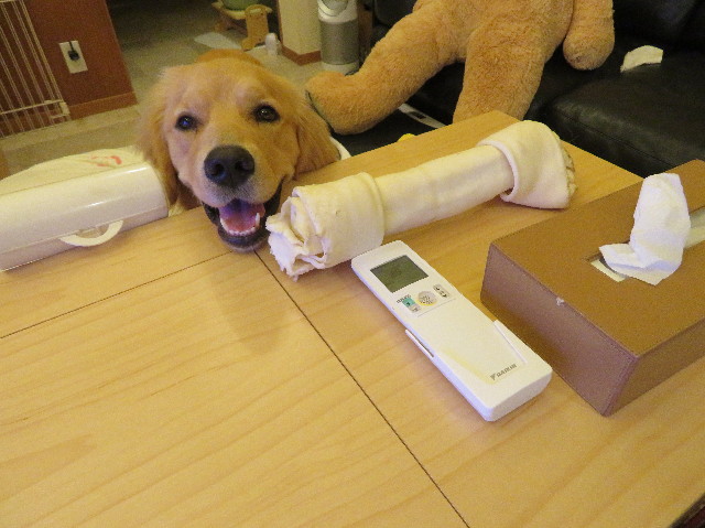 ファイル 7175-5.jpg