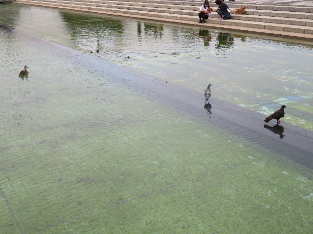 ファイル 7176-1.jpg