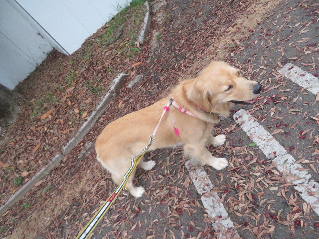 ファイル 7176-5.jpg