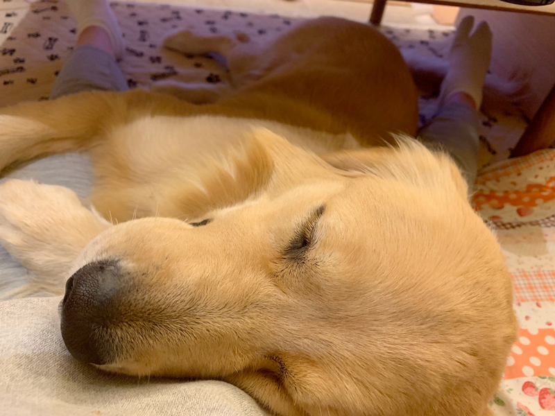 ファイル 7177-5.jpg