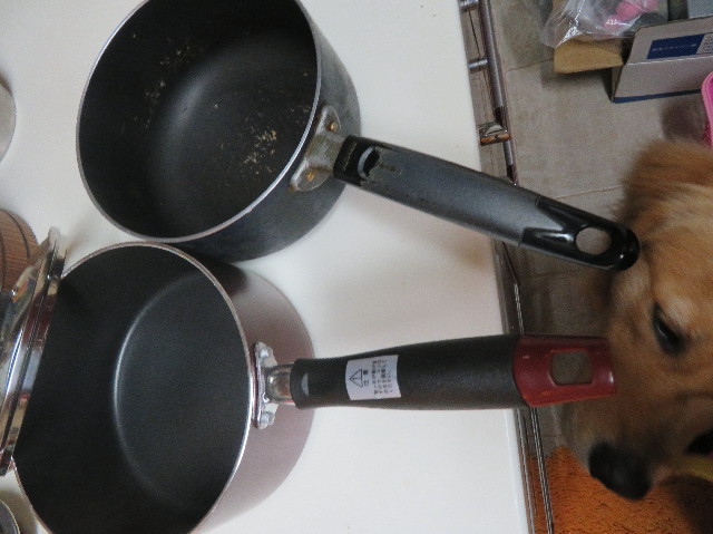 ファイル 7179-1.jpg