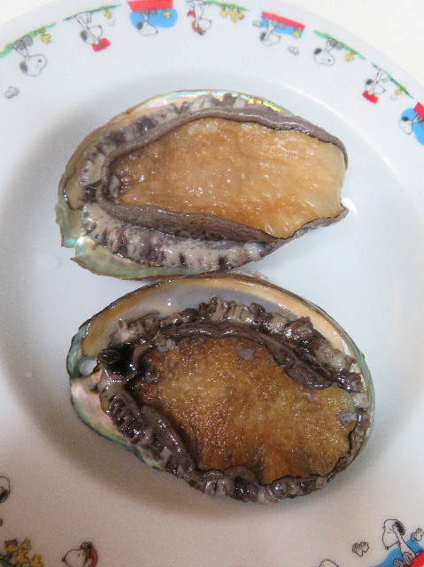 ファイル 7179-2.jpg