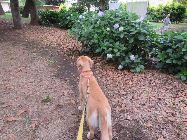 ファイル 7179-5.jpg