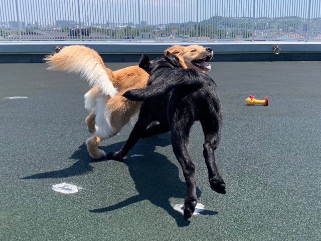 ファイル 7180-1.jpg