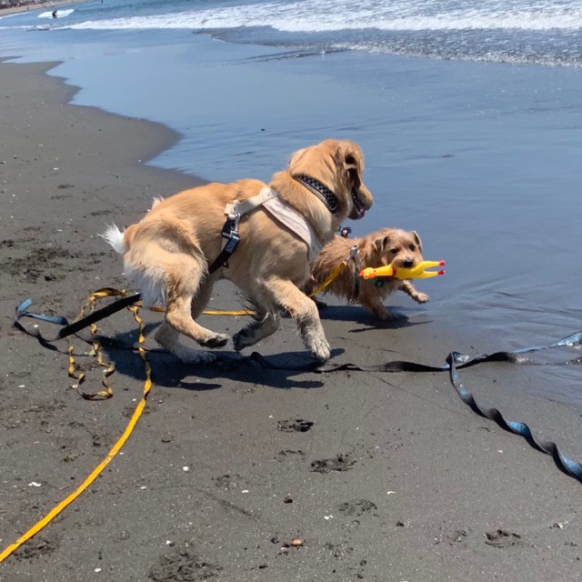 ファイル 7180-5.jpg