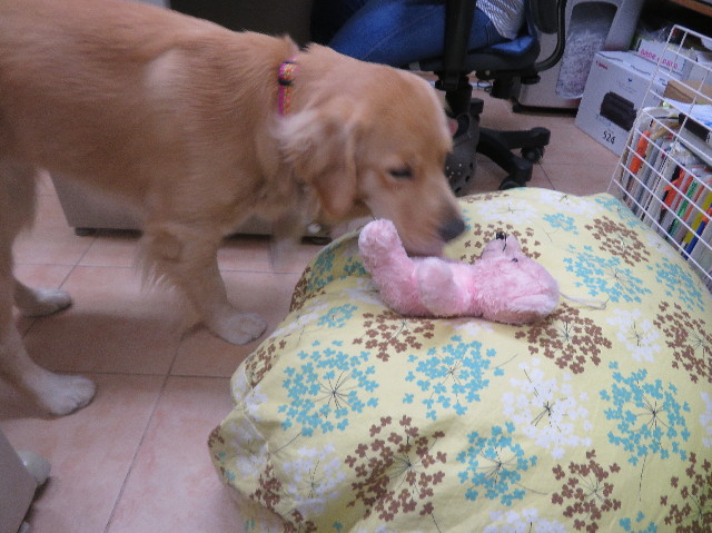 ファイル 7181-3.jpg