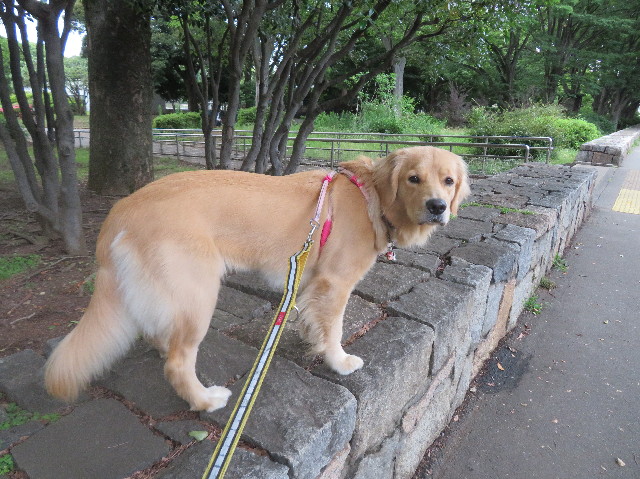 ファイル 7181-5.jpg