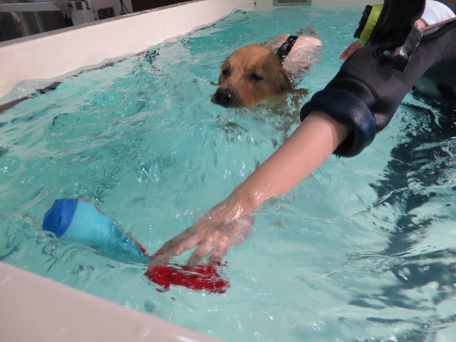 ファイル 7183-3.jpg