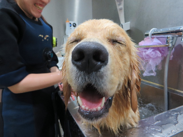 ファイル 7183-5.jpg