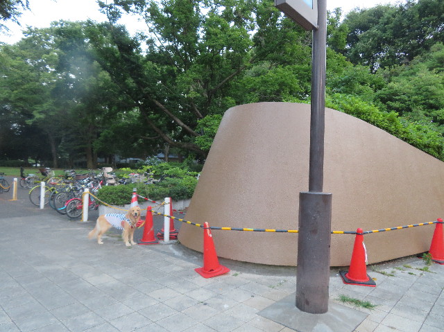 ファイル 7185-4.jpg