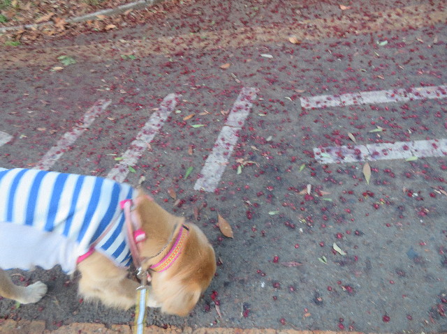 ファイル 7186-3.jpg