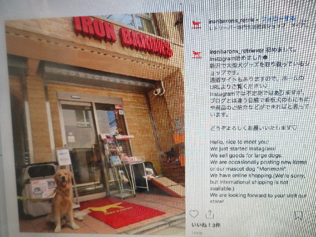 ファイル 7188-3.jpg