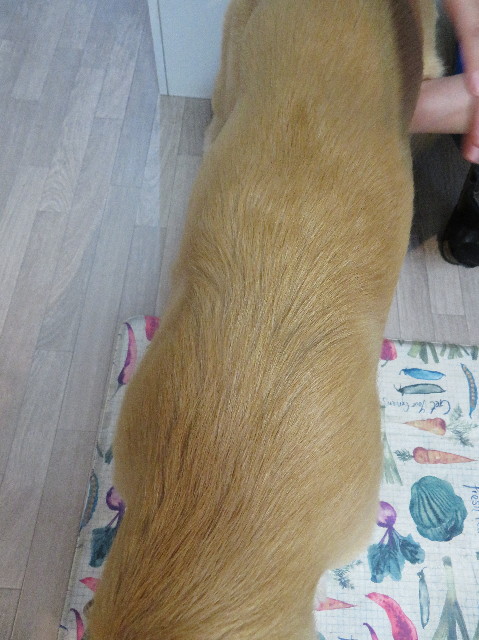 ファイル 7188-4.jpg