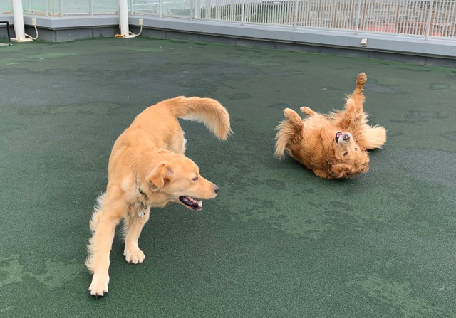 ファイル 7189-1.jpg