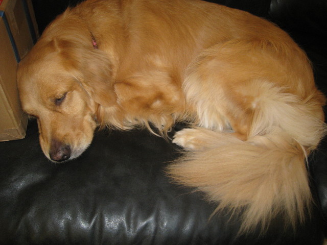 ファイル 719-5.jpg