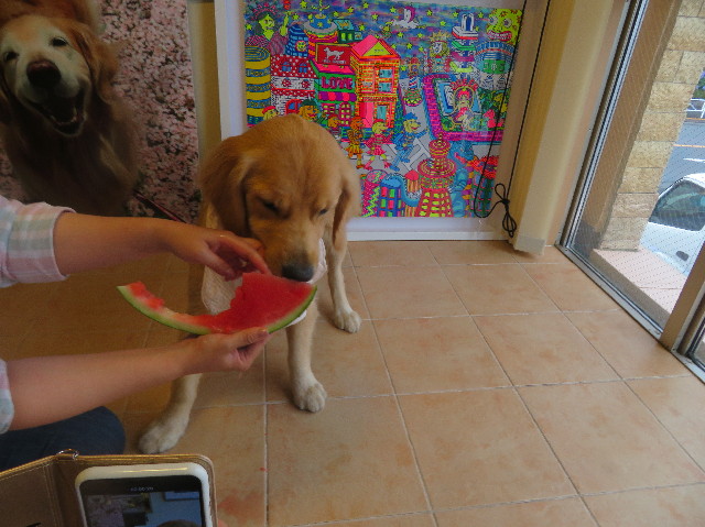 ファイル 7194-3.jpg