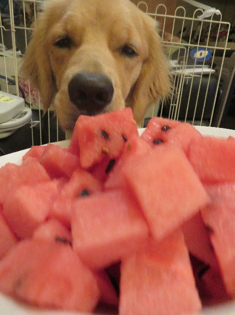 ファイル 7194-5.jpg