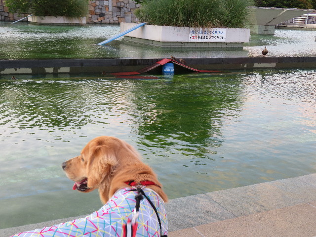 ファイル 7195-4.jpg