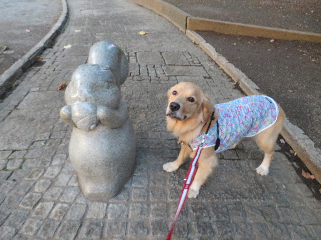 ファイル 7195-5.jpg