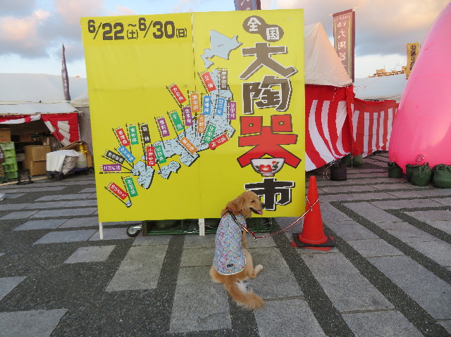 ファイル 7196-1.jpg