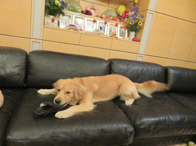 ファイル 7197-1.jpg