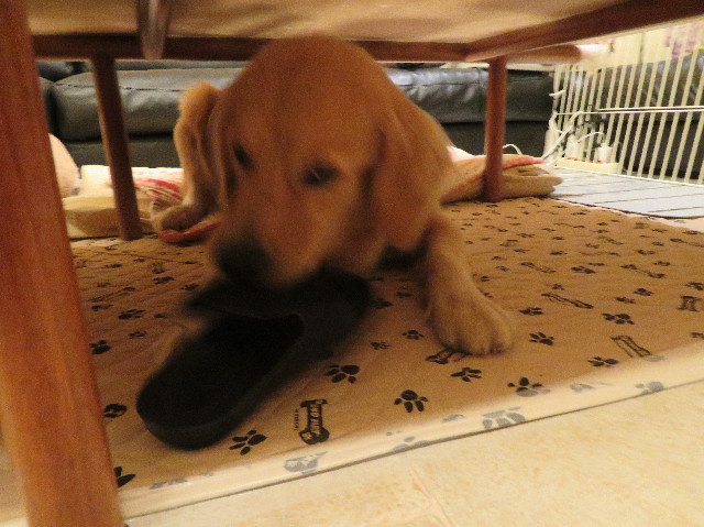 ファイル 7197-3.jpg