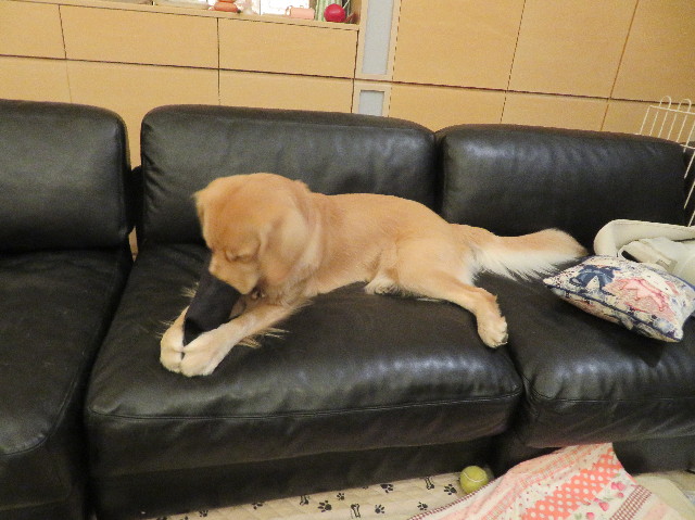 ファイル 7197-5.jpg