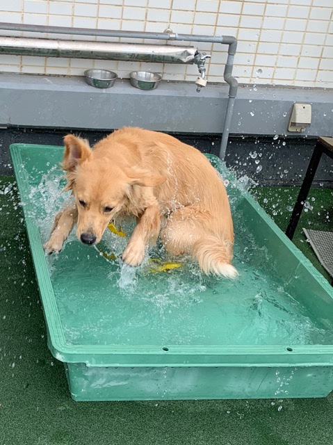 ファイル 7199-2.jpg