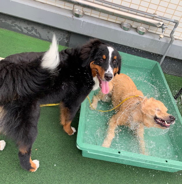 ファイル 7199-4.jpg