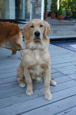 ファイル 72-1.jpg