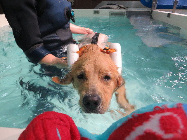 ファイル 7203-2.jpg